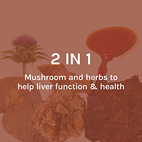 MycoBotanicals Liver Health Support - Mushroom & Herb Supplement, 60 Capsules