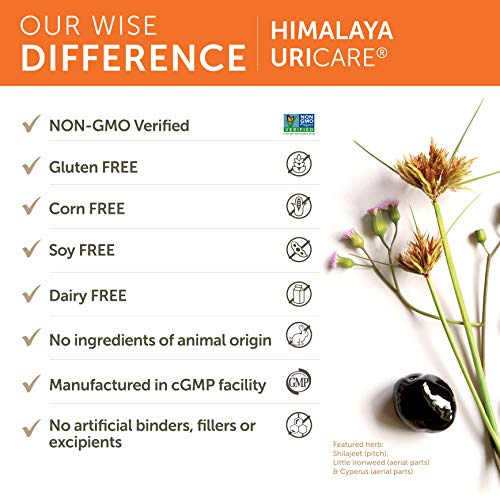 Himalaya UriCare Herbal Supplement Kidney & Bladder Support - 240 Capsules
