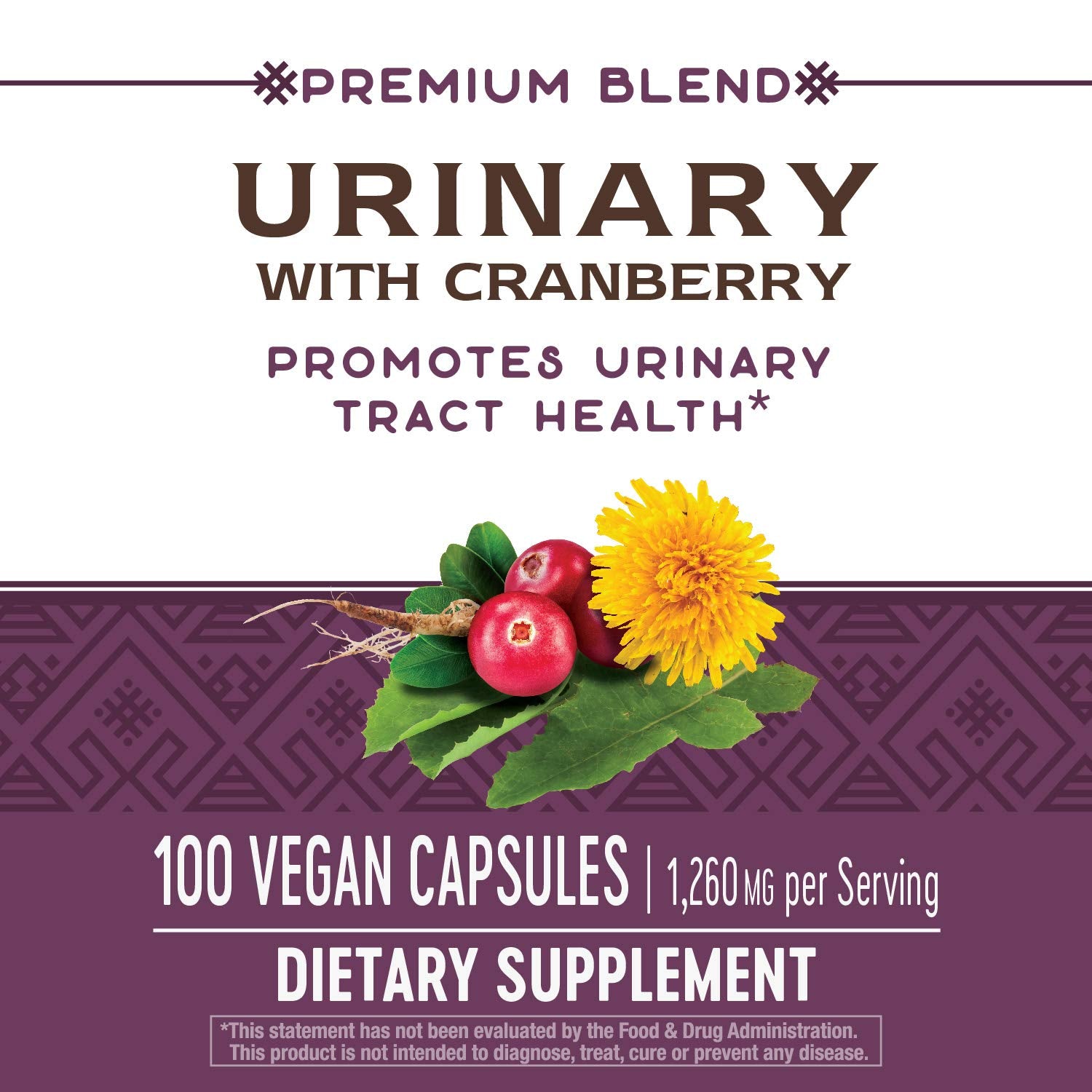 Nature's Way Urinary with Cranberry, 1,260 mg per serving, 100 Capsules